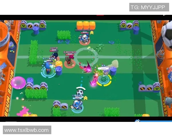 在荒野中挑战极限足球明星的生存冒险之旅