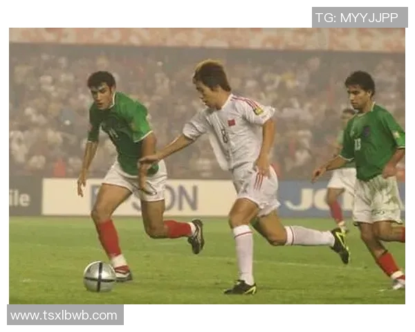 足球明星蔡伟的辉煌历程与成就全景解析